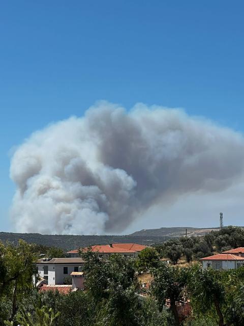 ÇEŞME'DEKİ ORMAN YANGININA HAVADAN VE KARADAN MÜDAHALE