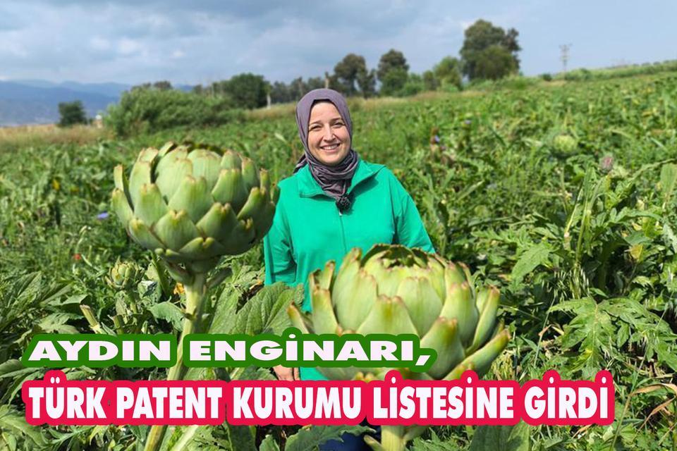 Aydın Enginarı, Türk Patent Kurumu listesine girdi