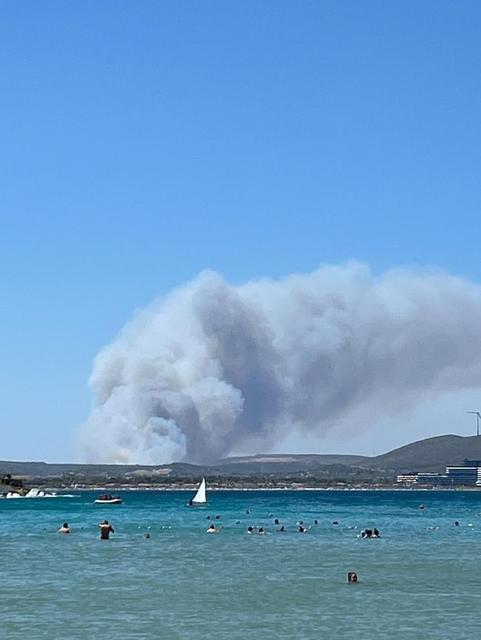 ÇEŞME'DEKİ ORMAN YANGININA HAVADAN VE KARADAN MÜDAHALE