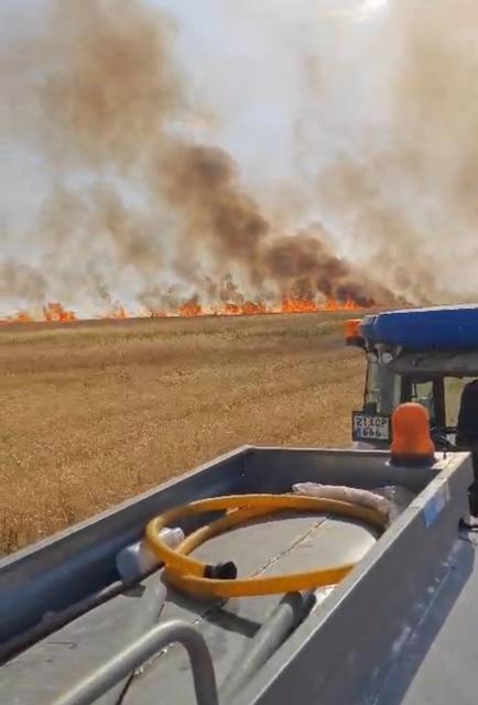 Biçerdöverden çıkan yangın 500 dönüm buğdayı kül etti