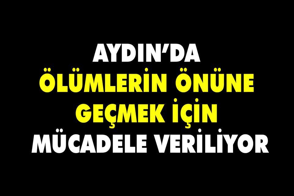 Aydın’da ölümlerin önüne geçmek için mücadele veriliyor