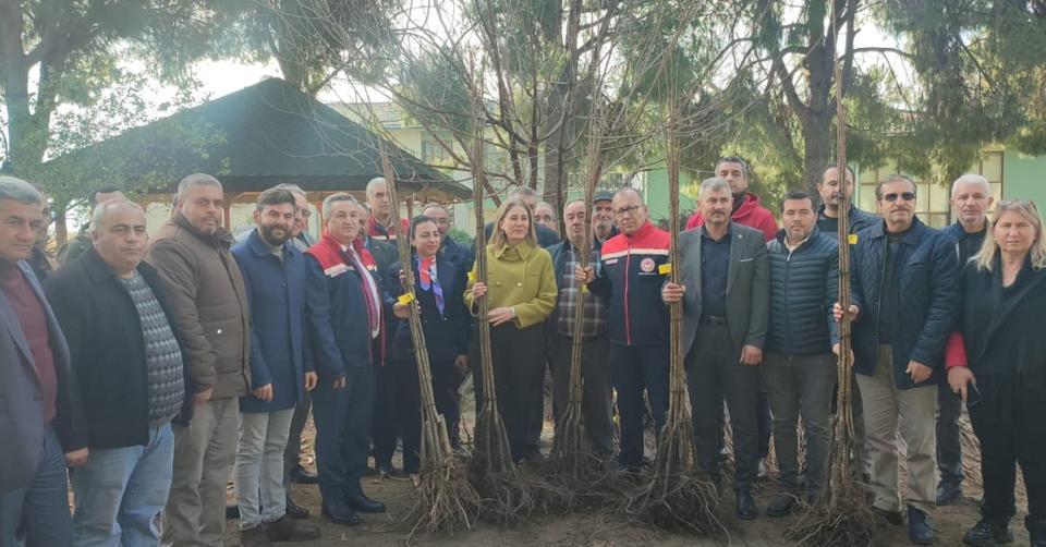 Nazilli’de kestane fidanları üreticilerle buluştu