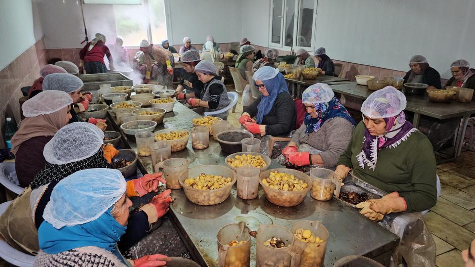 Aydın’ın Kestane Şekeri, Uzakdoğu sofralarını süslüyor