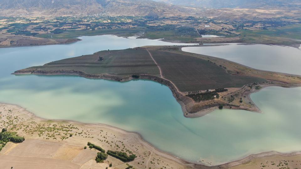 DENİZE KIYISI OLMAYAN SİVAS'TA ANADOLU'NUN EN BÜYÜK ADASI SATILDI ZENGİNLER ADA SATIN ALIP ÜZERİNDE TATİL KÖYÜ KURARKEN, BOZKIRDA ADA SATIN ALAN ŞANLIURFALI GENÇ ÜRETİCİ ADAYA 10 BİN KAYISI AĞACI DİKTİ