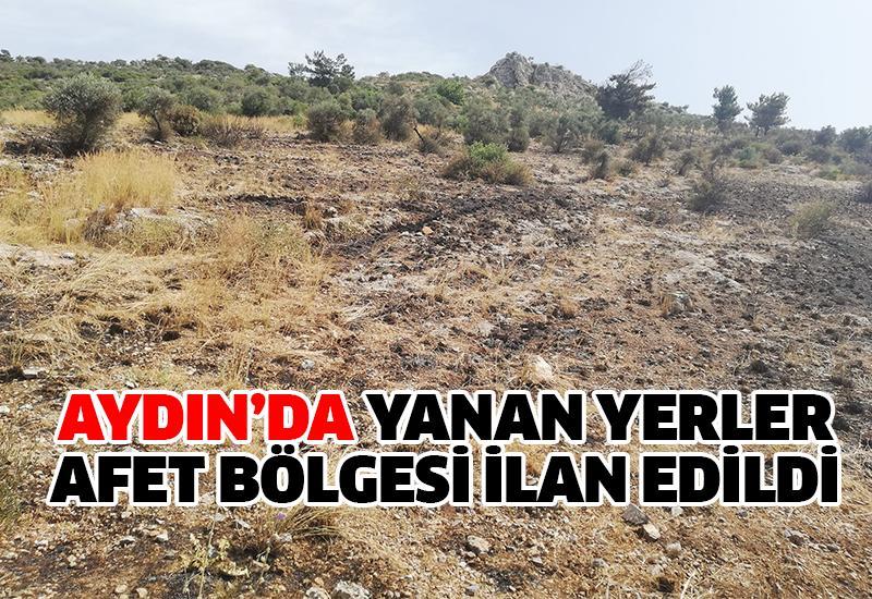 Aydın'da yanan yerler afet bölgesi ilan edildi