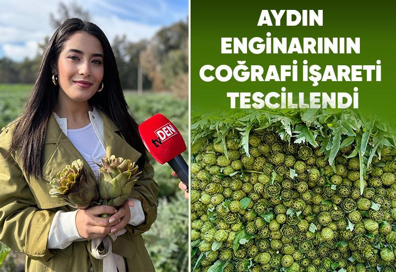 Aydın enginarının coğrafi işareti tescillendi