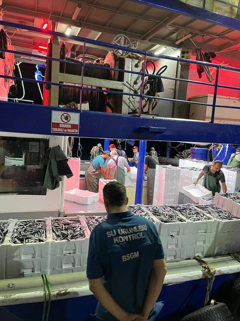 Didim'de 'Hamsi Kotası' denetimi