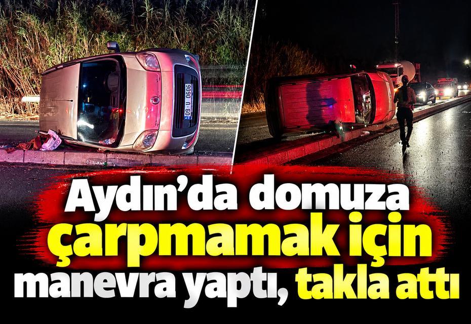 Aydın'da domuza çarpmamak için manevra yaptı, takla attı