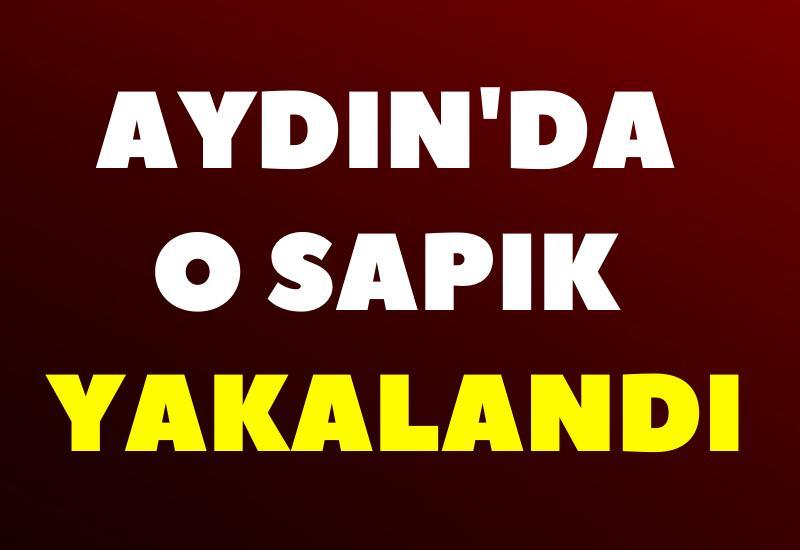 Aydın'da o sapık yakalandı