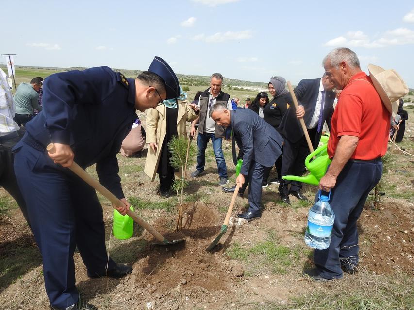 KÜTAHYA'DA AİLE HAFTASINDA AİLE ORMANI TESİS EDİLDİ