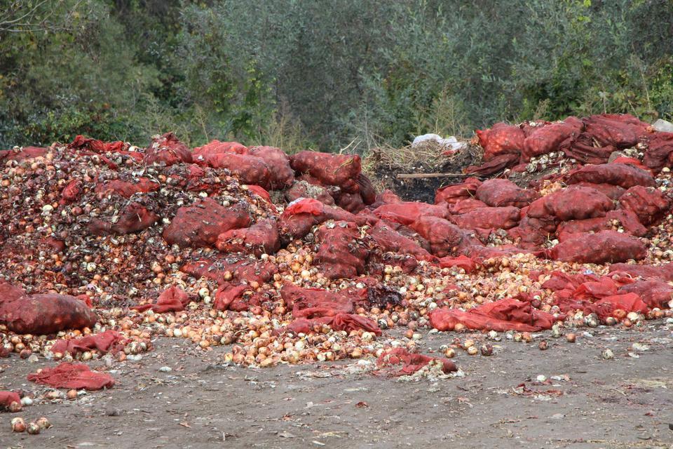 Nehir kıyısına çuvallar dolusu soğan ve patlıcan döküldü