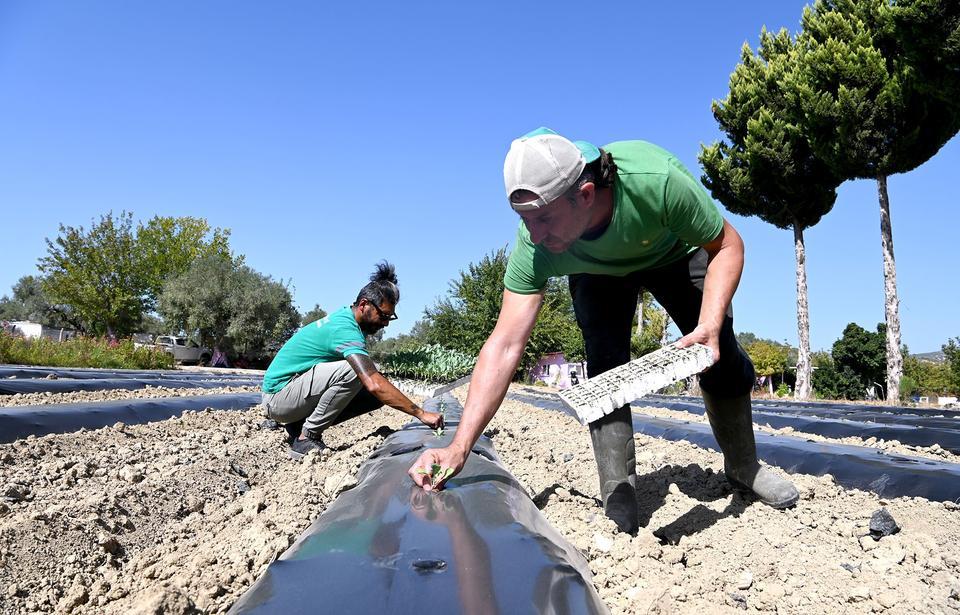 ADABAHÇE BU KIŞ DA SOFRALARA LEZZET VE BEREKET KATACAK