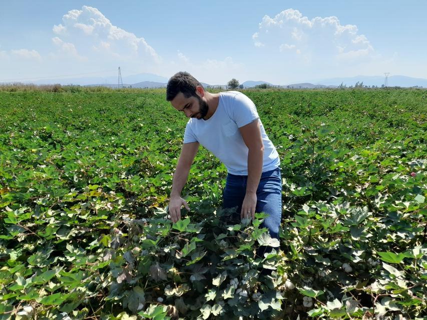 SÖKE'DE DİKENLİ KURT POPÜLASYONUNDA ARTIŞ TESPİT EDİLDİ