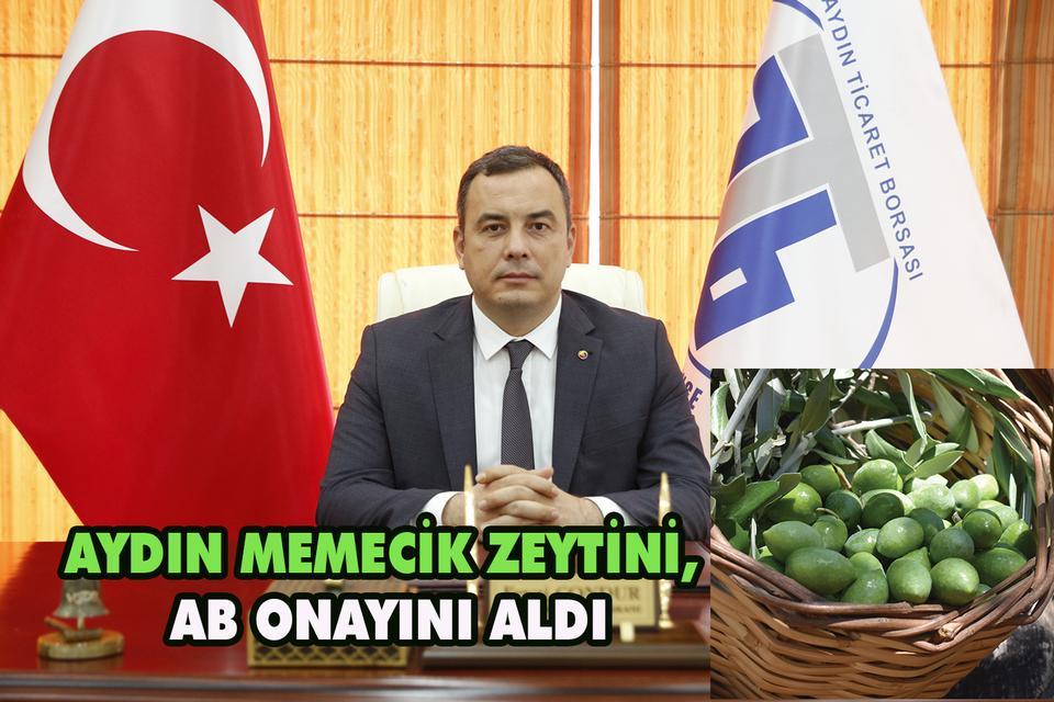 Aydın Memecik Zeytini, AB onayını aldı