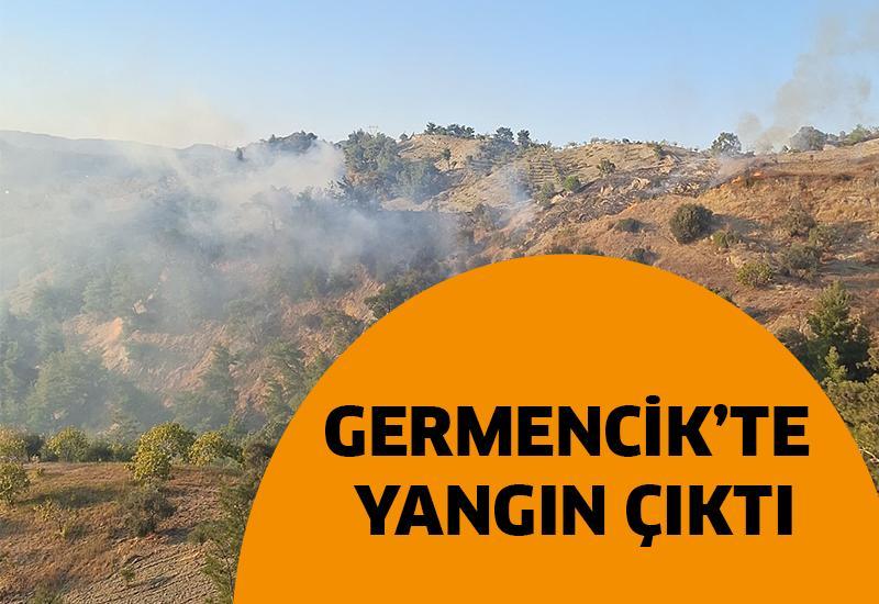 Germencik'te yangın çıktı