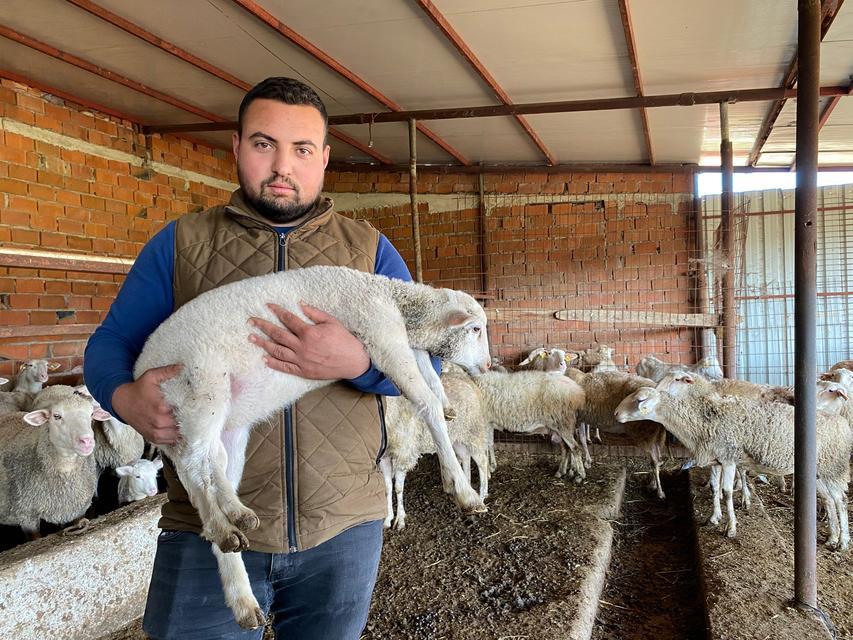 ÇANAKKALE'DE KUZU 5 AYAKLI DOĞDU