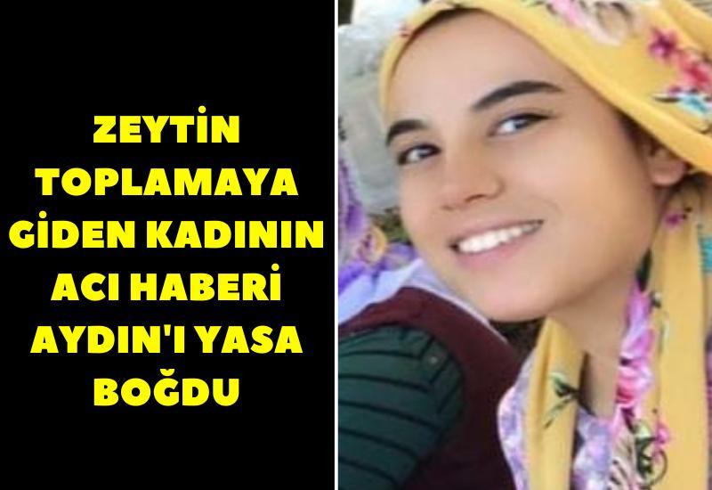 Zeytin toplamaya giden kadının acı haberi Aydın'ı yasa boğdu