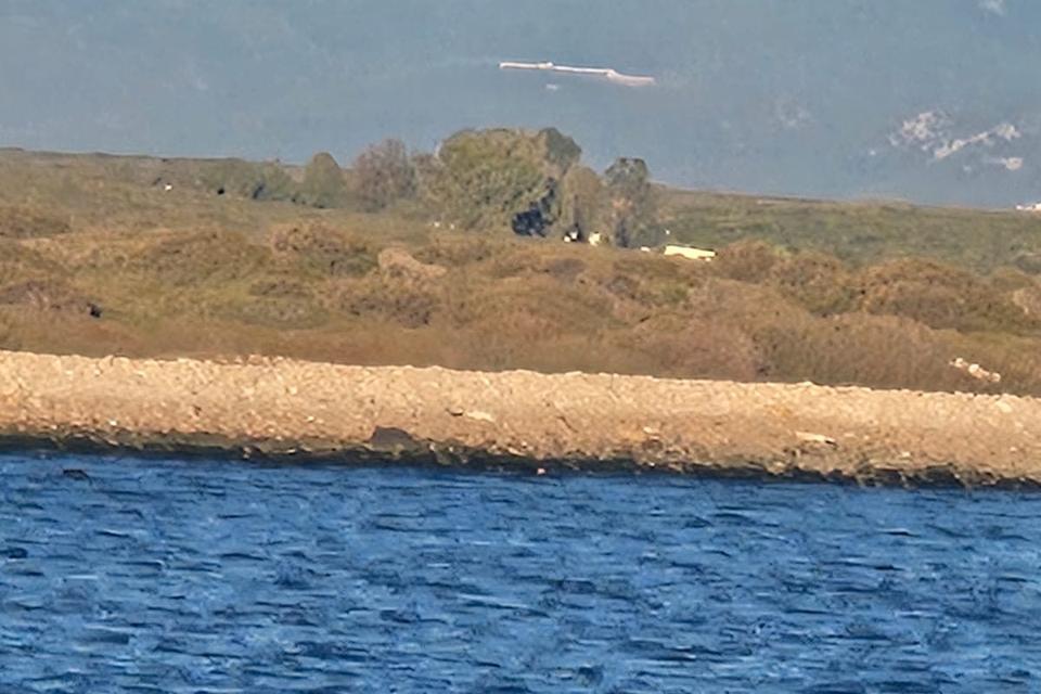 Didim'de ASKİ'nin arıtma tesisinin çalıştırılmadığı iddiası