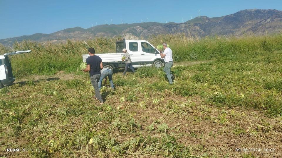 GERMENCİK BELEDİYESİ, VATANDAŞLARA 2 KAMYON KARPUZ DAĞITTI BELEDİYEYE BAĞIŞLANAN KARPUZLAR VATANDAŞLARA DAĞITILDI