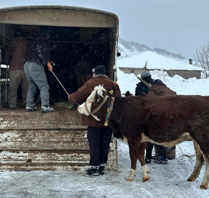 Yaylada mahsur kalan vatandaşlar kurtarıldı