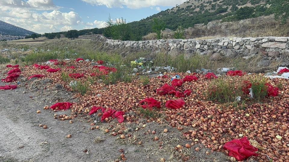 YAKLAŞIK 2 TON KURU SOĞANI BOŞ ARAZİYE DÖKÜP GİTTİLER