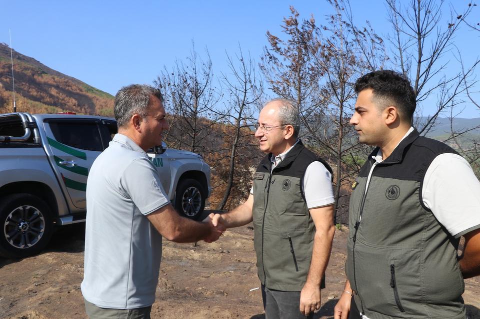 BOZDOĞAN'DA YANAN ORMANLIK ALANDA İNCELEMELERDE BULUNULDU