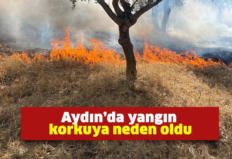 Aydın’da yangın korkuya neden oldu