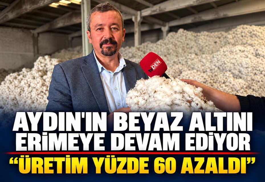 Aydın'ın beyaz altını erimeye devam ediyor: "Üretim yüzde 60 azaldı"