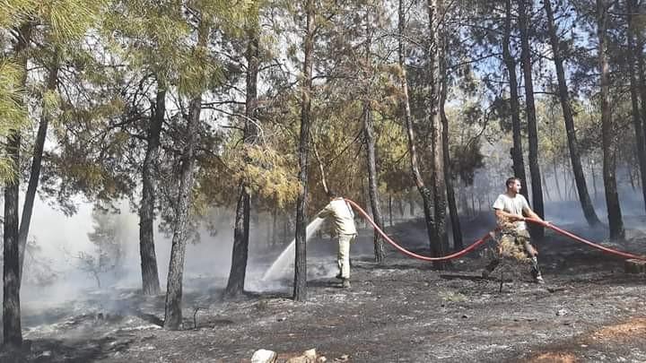 Denizli'de orman yangını kısa sürede kontrol altına alındı