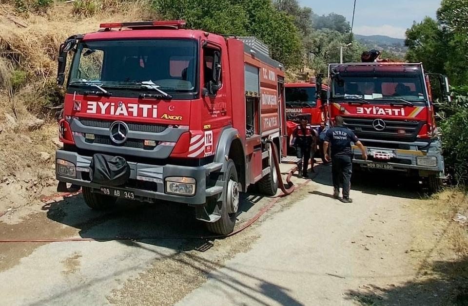 Aydın'da odunluk yangını korkuttu