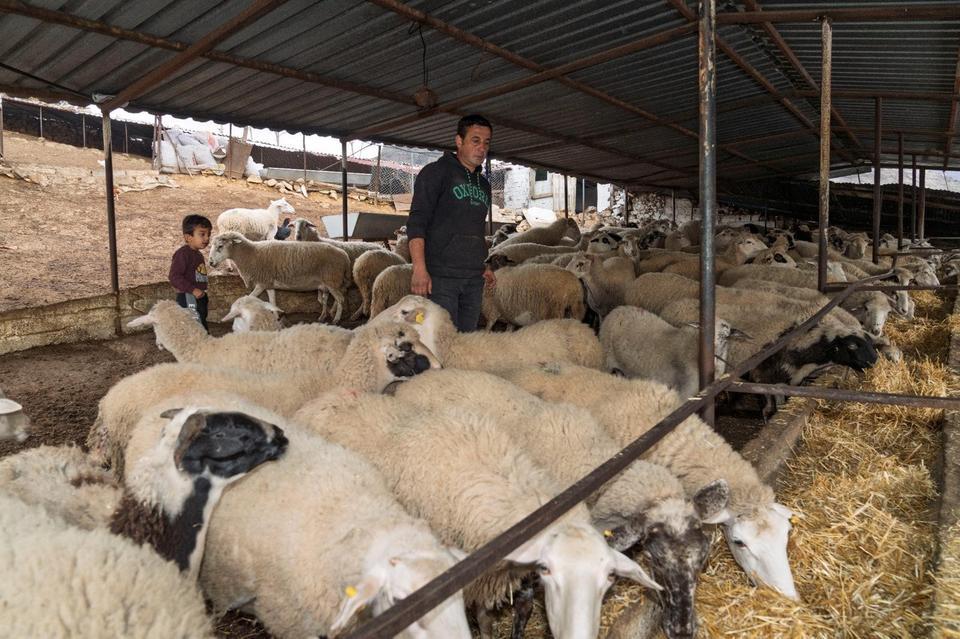 YANGIN MAĞDURU ÇİFTÇİLERE 225 TON YEM DESTEĞİ