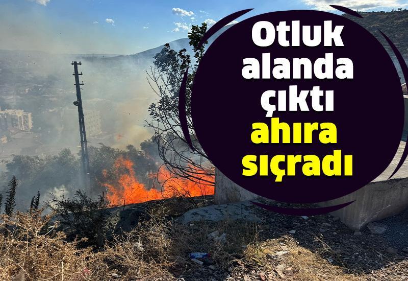 Otluk alanda çıkan yangın ahıra sıçradı