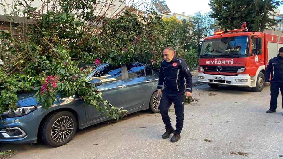 Ağaç park halindeki aracın üzerine devrildi