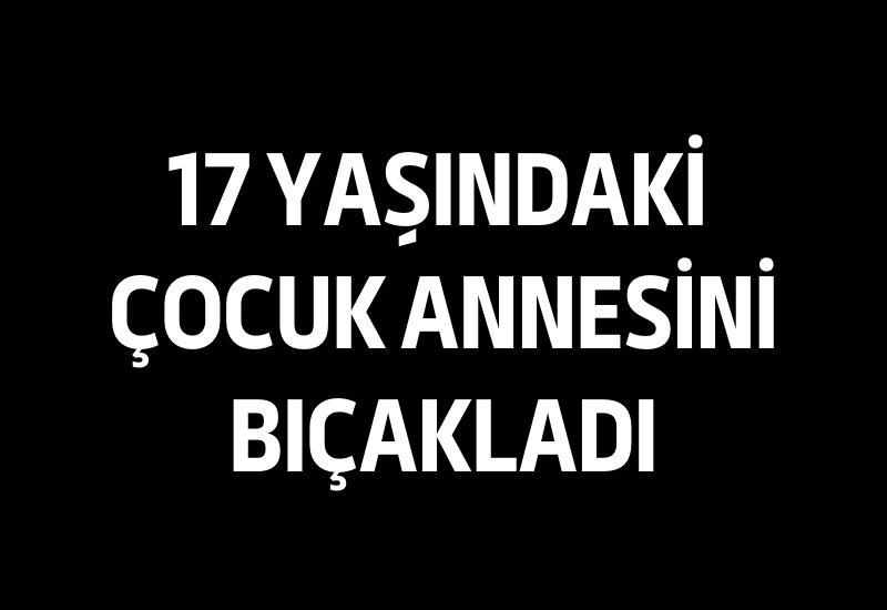 17 yaşındaki çocuk annesini bıçakladı