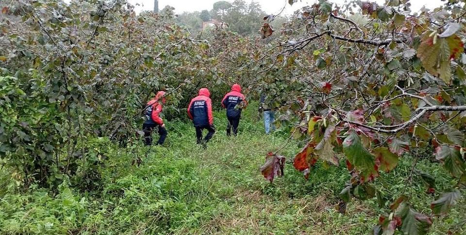 ORDU'DA AĞAÇTAN DÜŞEN YAŞLI ADAM HAYATINI KAYBETTİ