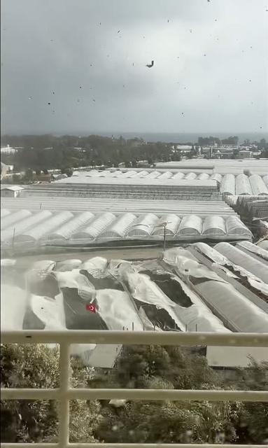 DEMRE'DE HORTUMUN SERALARI YERLE BİR ETTİĞİ ANLAR KAMERADA ONLARCA SERADAKİ NAYLONLAR SÖKÜLDÜ, DİREKLER YIKILDI, TÜRK BAYRAĞI ZARAR GÖRMEDİ ZARAR GÖREN SERALAR DRON İLE GÖRÜNTÜLENDİ