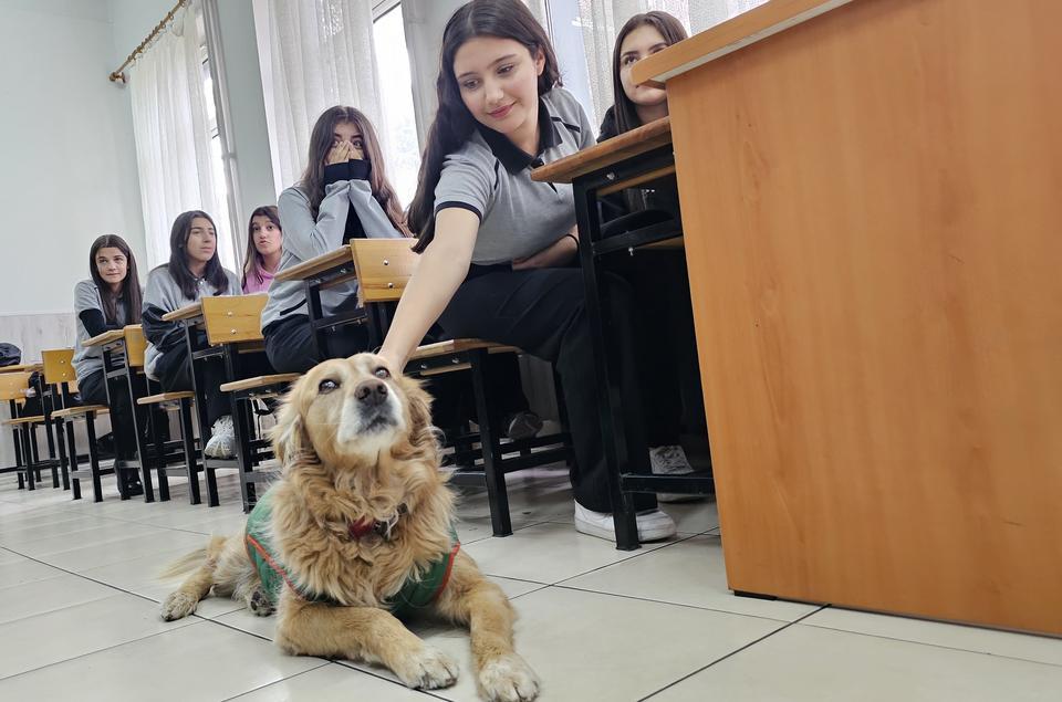 ÖĞRENCİLERİN PEŞİNE TAKILAN FINDIK, OKULUN MASKOTU OLDU MÜDÜR YARDIMCISININ ODASINDA DİNLENİYOR, SINIFLARA GİREREK ÖĞRENCİLERLE BERABER DERSE KATILIYOR MÜDÜR YARDIMCISI SERKAN SONUÇ: "FINDIK, ÖĞRENCİLERİMİZE AYRI BİR DUYGU KATIYOR"