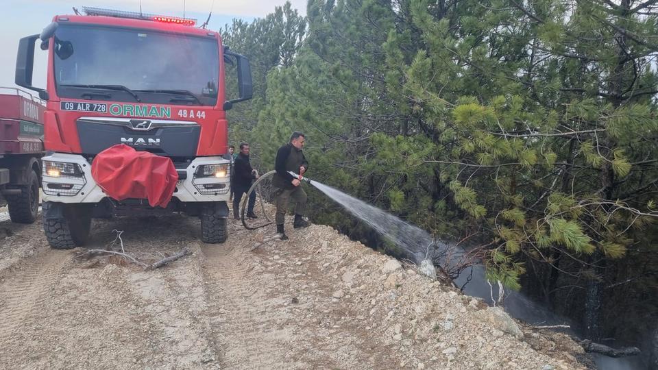 Nazilli'deki orman yangını kontrol altına alındı