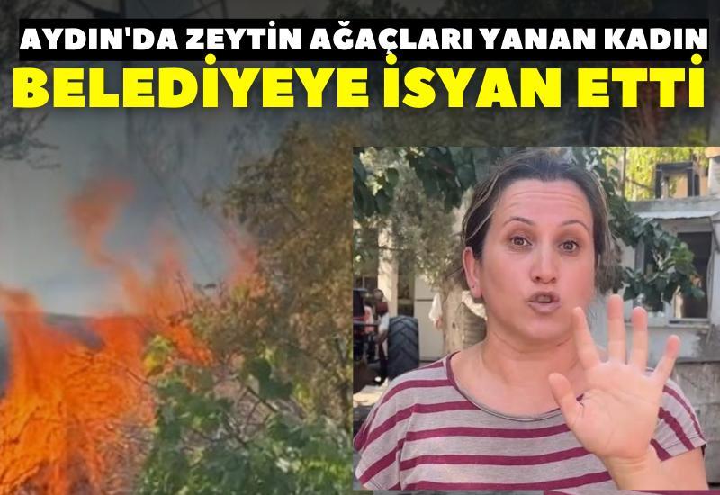 Aydın'da zeytin ağaçları yanan kadın belediyeye isyan etti