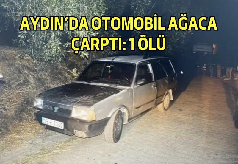 Aydın'da otomobil ağaca çarptı: 1 ölü