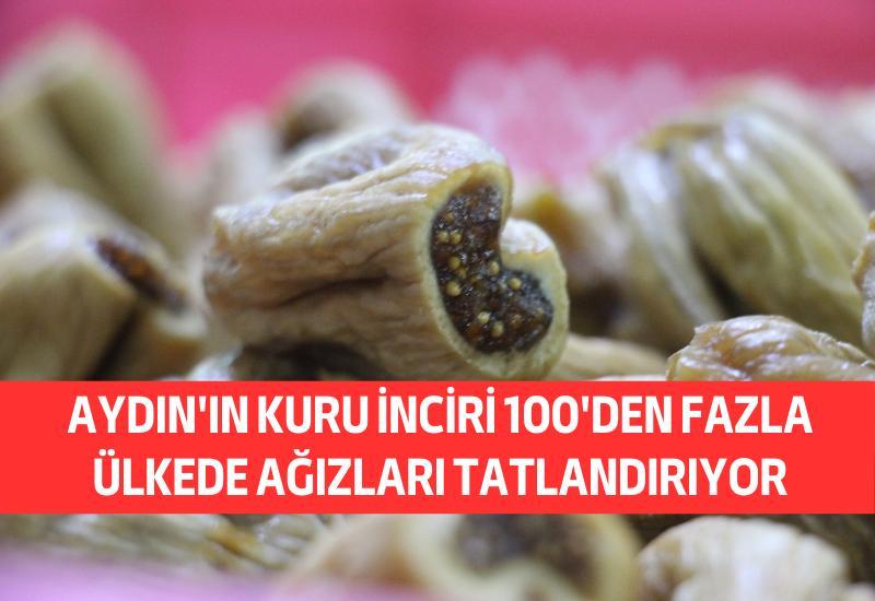 Aydın'ın kuru inciri 100'den fazla ülkede ağızları tatlandırıyor