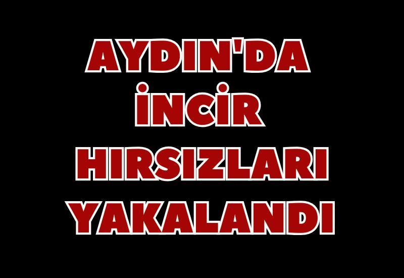 Aydın'da incir hırsızları yakalandı