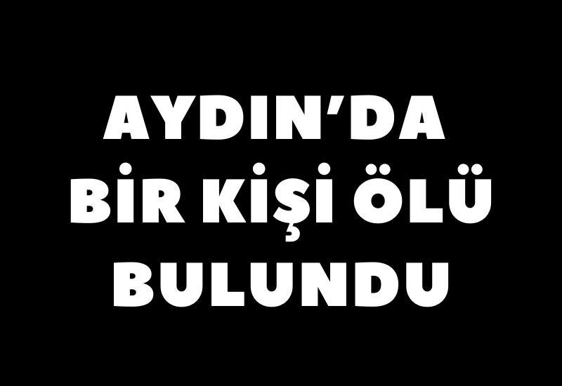 Aydın'da bir kişi ölü bulundu