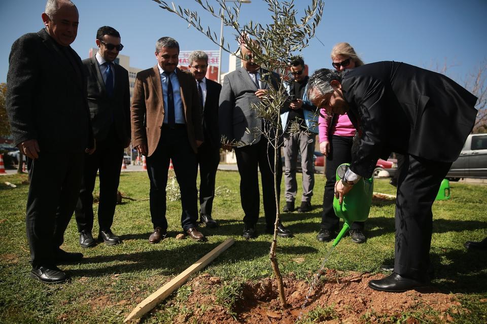 ADÜ Kampüsünde yangın bölgesine zeytin ağaçları dikildi