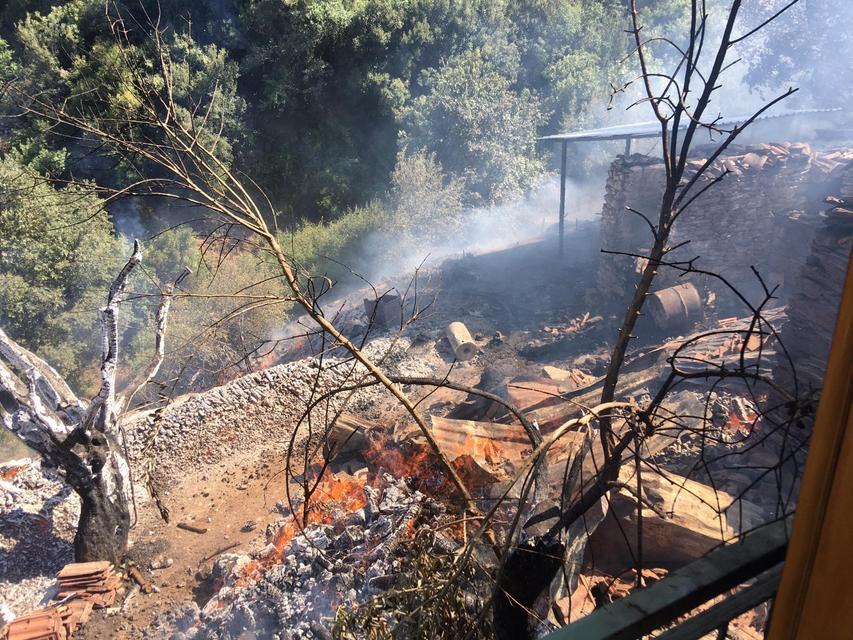 AYDIN'DA İKİ AYRI NOKTADA YANGIN ÇIKTI