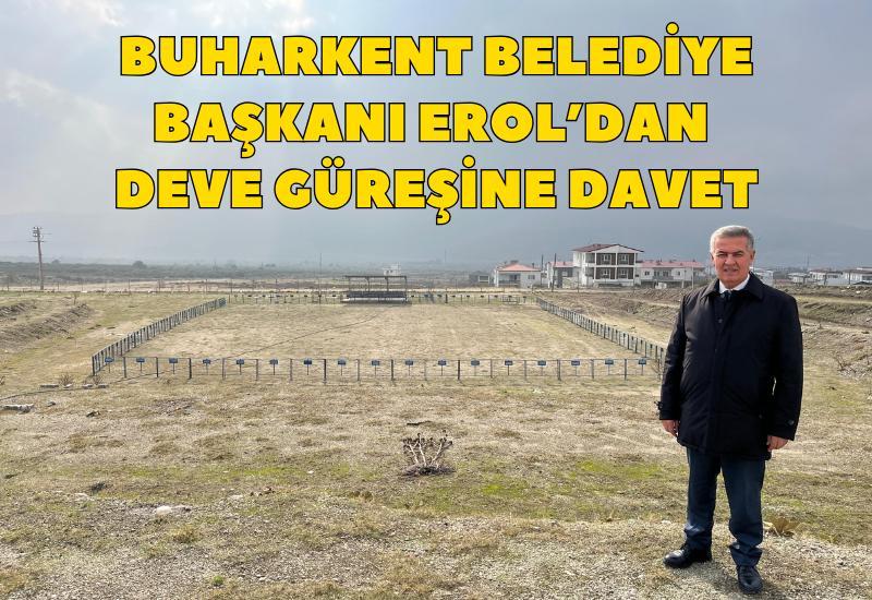 Buharkent Belediye Başkanı Erol’dan deve güreşine davet