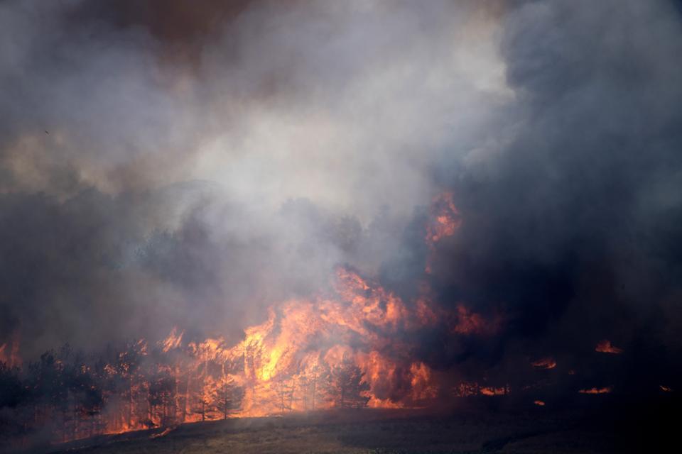 40'tan fazla noktada orman yangını: 1 ölü